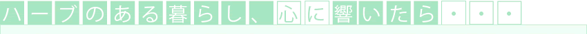 ハーブのある暮らし、心に響いたら・・・