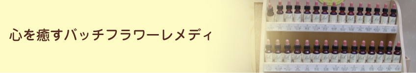 心を癒すバッチフラワーレメディ