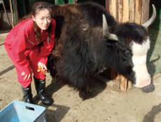 どくたーえりこのブログイメージ画像