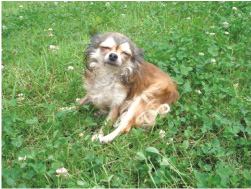 新着情報イメージ画像